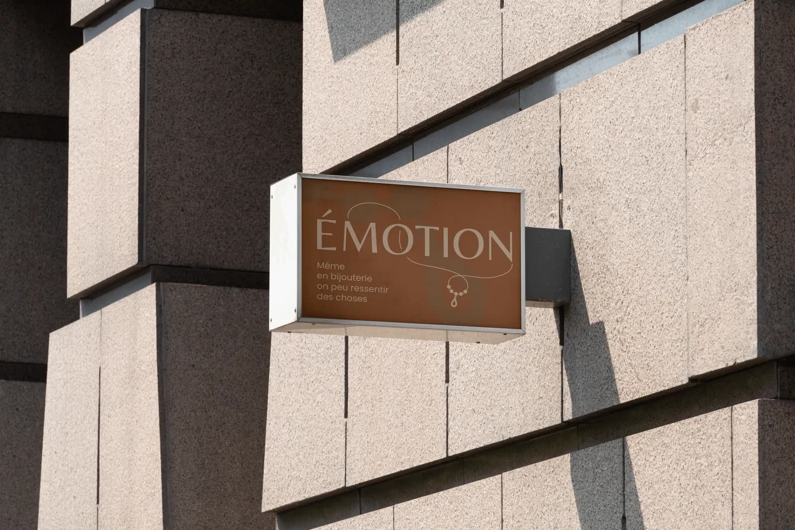 Émotion - visuel 5