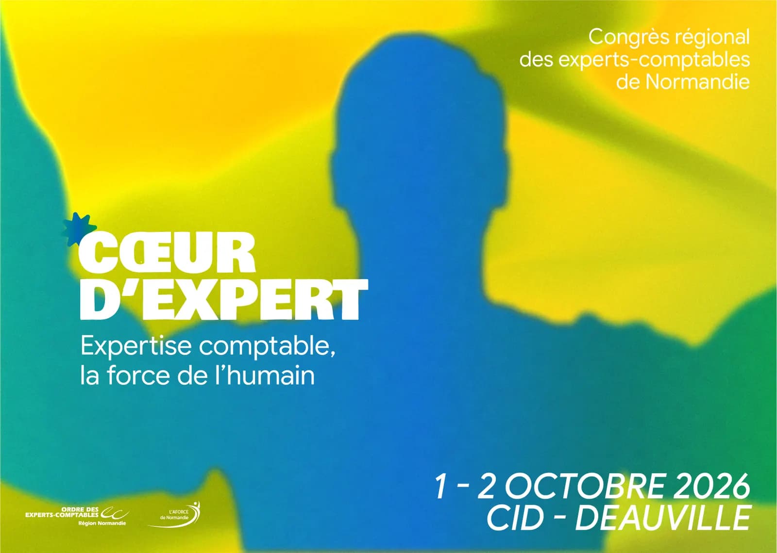 Congrès des Experts-Comptables - visuel 4